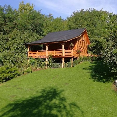 Villa Eden Slesin  Bagian luar foto