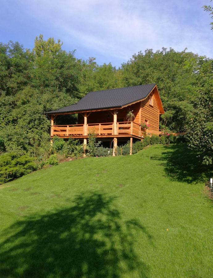 Villa Eden Slesin  Bagian luar foto