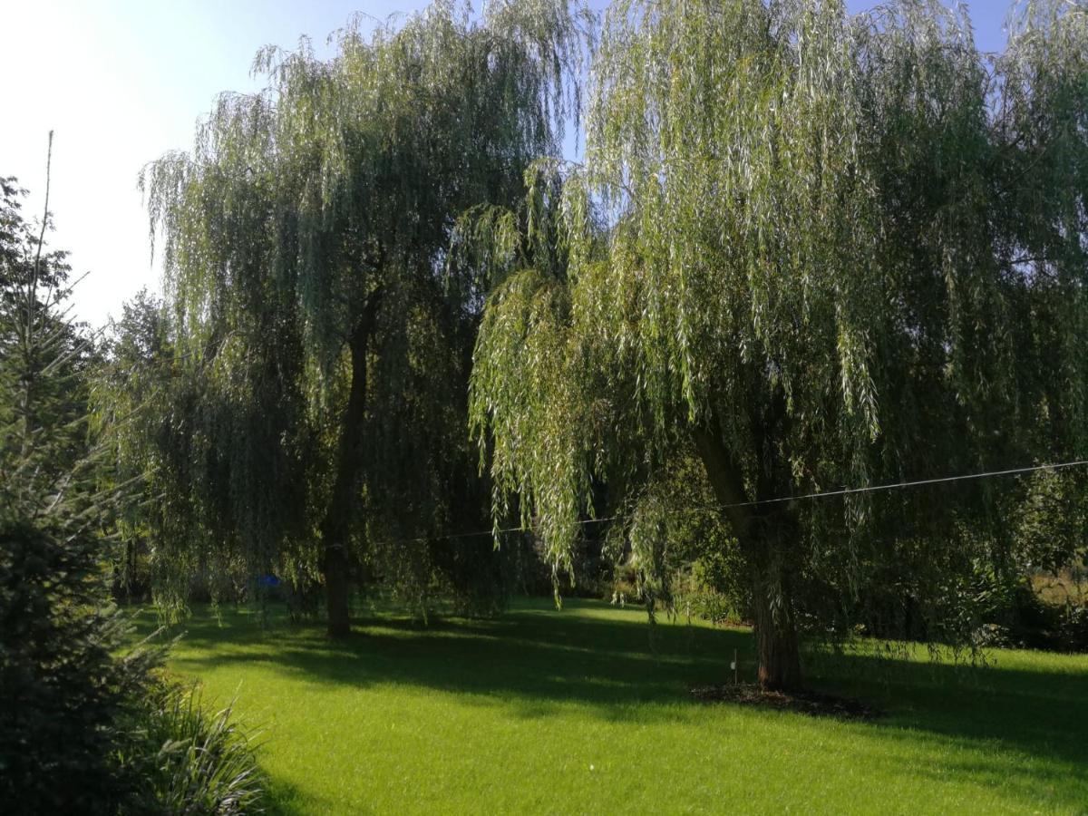 Villa Eden Slesin  Bagian luar foto